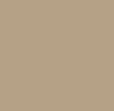 Sundust