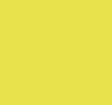 Yellow Highlight