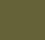 Green Kelp