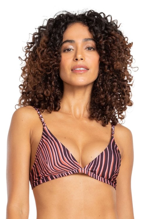 Top Triangle Lion Top Triangle Lion