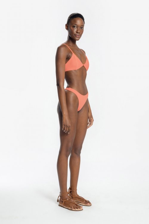 Top Curve New Wave Top Curve New Wave
